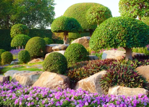 Padmapuram Gardens Araku: Hanging Cottages, Toy Train & Timings