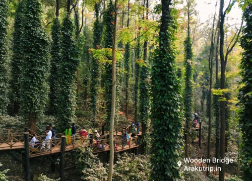 Vizag Local Araku Lambasingi Tour Package