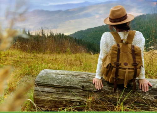 Araku Valley Travel Guide: Map, Altitude & Railway Station