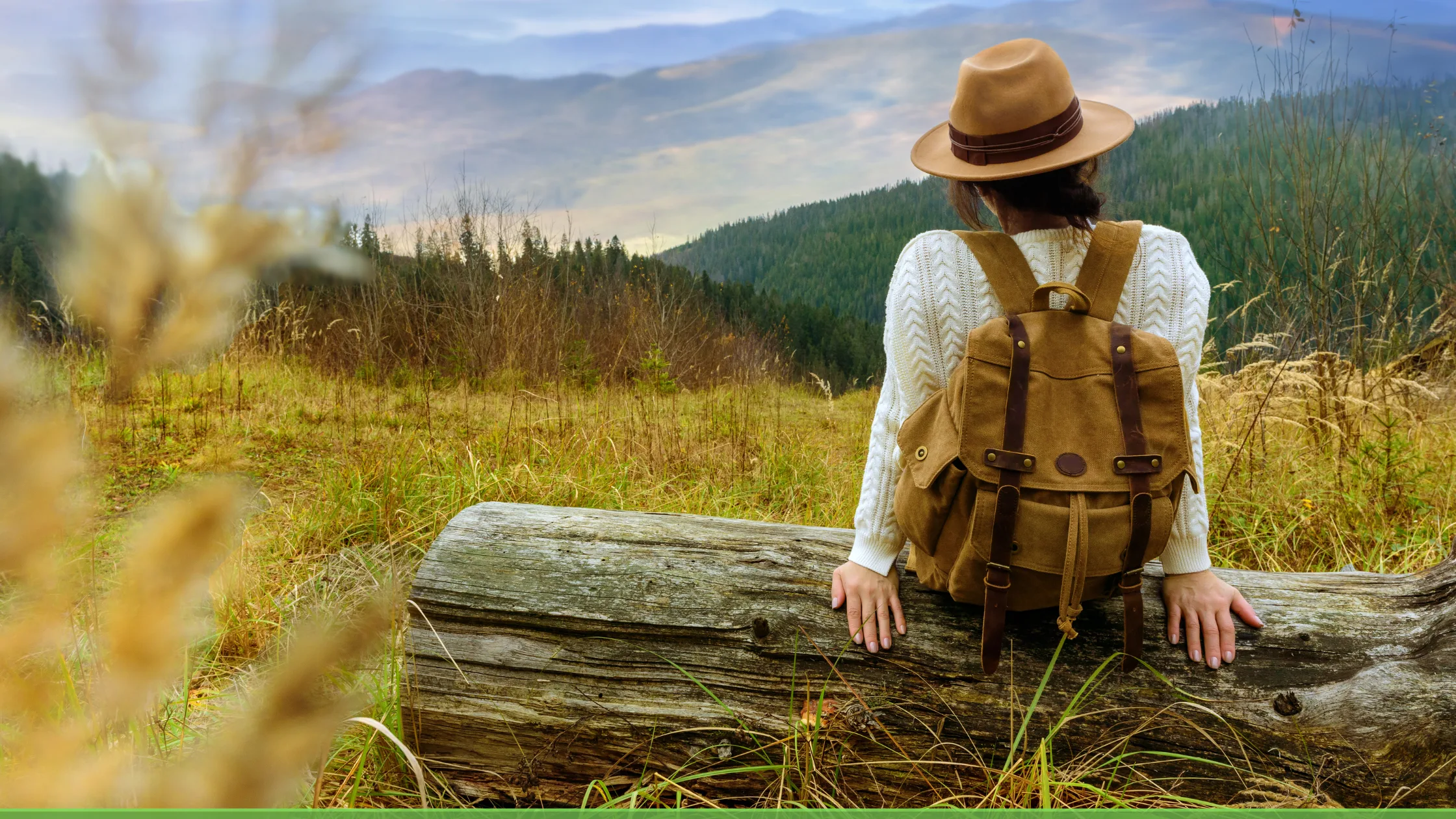 Araku Valley Travel Guide