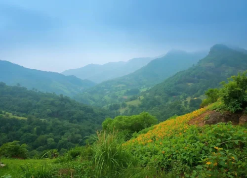 10 Best Places to Visit in Araku Valley for a Memorable Trip