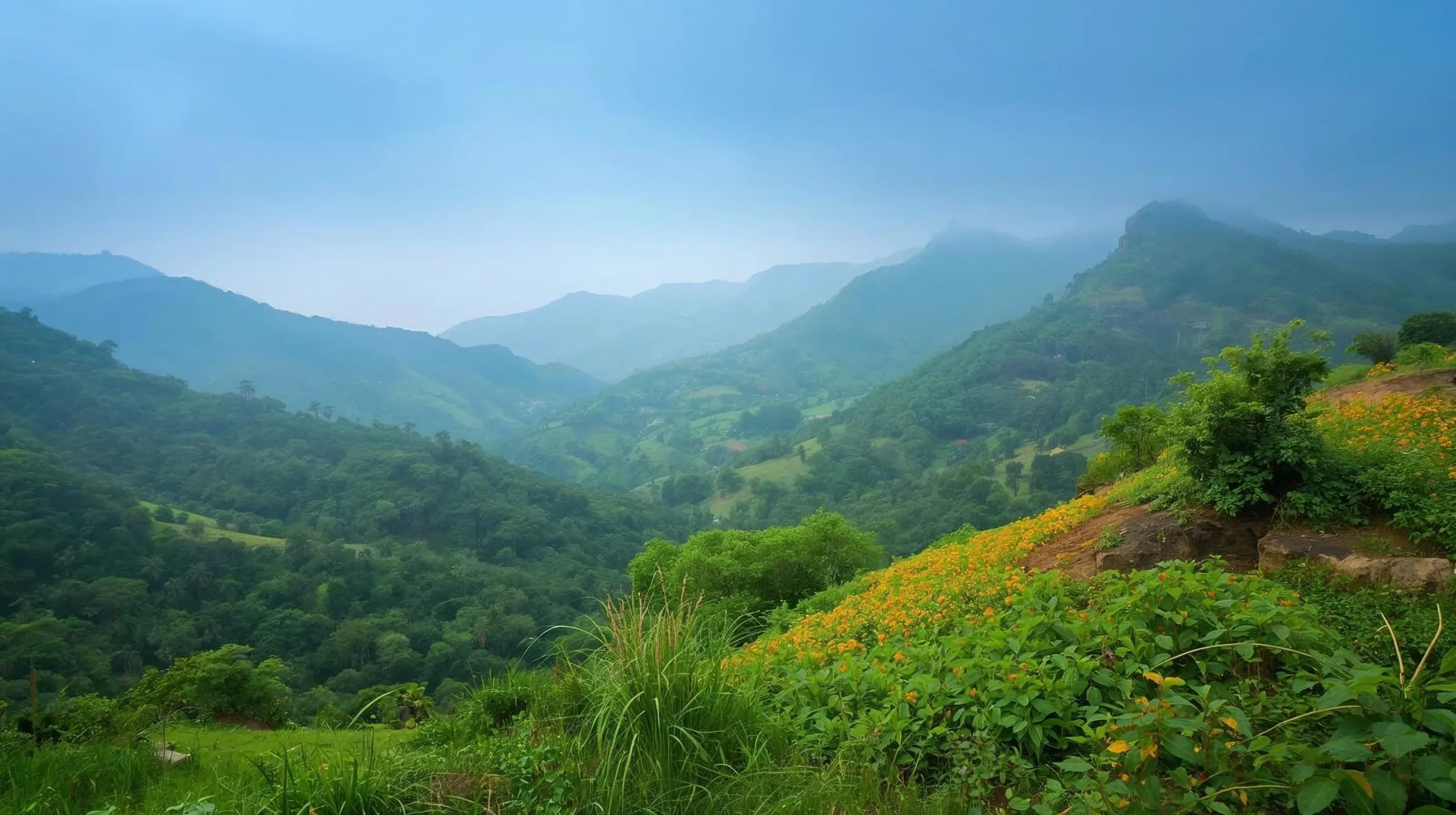 10 Best Places to Visit in Araku Valley for a Memorable Trip