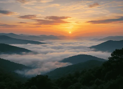 Araku Valley Temperature Today: How to Plan Your Outing