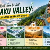 Best Time to Visit Araku Valley: A Season-by-Season Guide