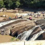 Chaparai Waterfalls: The Ultimate Picnic Spot in Araku Valley