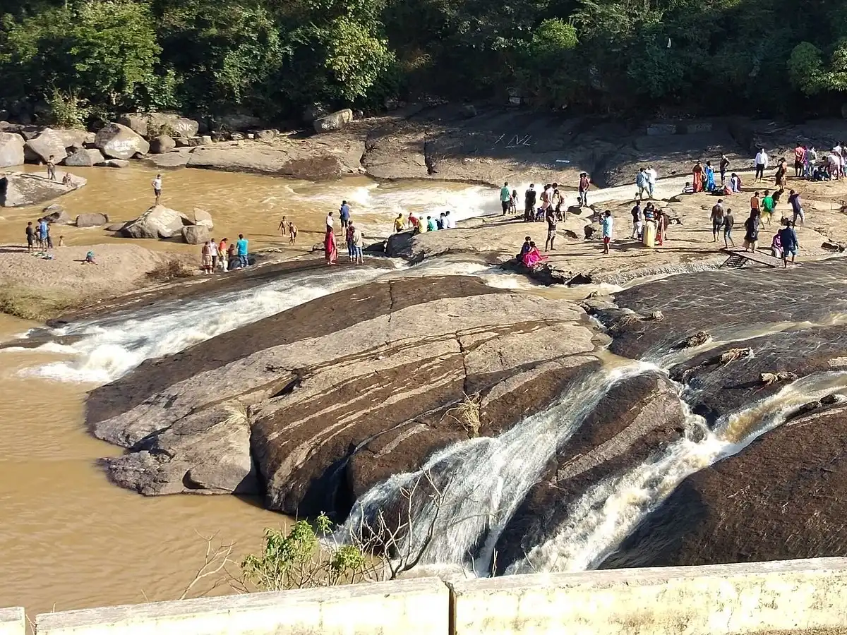 Chaparai Waterfalls: The Ultimate Picnic Spot in Araku Valley