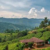 Finding Low Price Hotels in Araku: A Budget Traveler's Guide