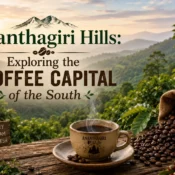 Ananthagiri Hills: Exploring the Coffee Capital of the South