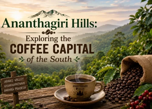 Ananthagiri Hills: Exploring the Coffee Capital of the South