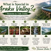 things to do in Araku Valley