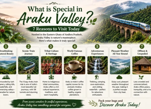 Top 10 Things to Do in Araku Valley Beyond Sightseeing