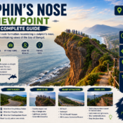 Dolphin's Nose View Point Guide