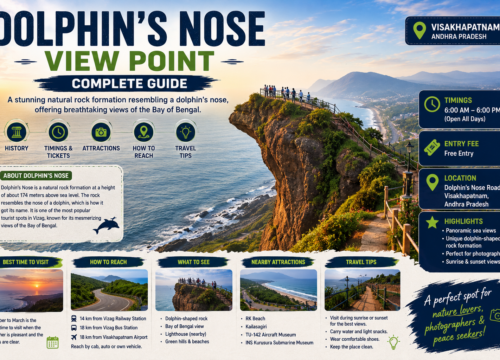 Dolphin’s Nose View Point Guide