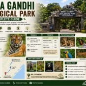 Indira Gandhi Zoological Park Guide