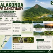 Kambalakonda Wildlife Sanctuary Guide